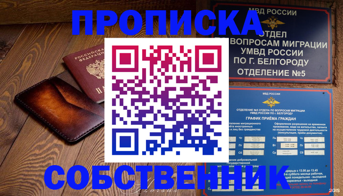 временная регистрация 2025 в Моршанске